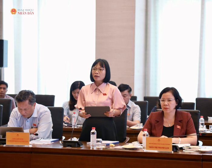 Phó Trưởng đoàn Đại biểu Quốc hội chuyên trách thành phố Hải Phòng Nguyễn Thị Việt Nga phát biểu tại phiên họp
