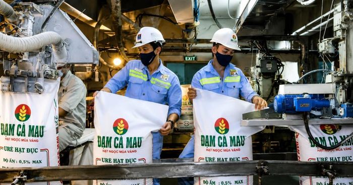 Đạm Cà Mau lãi hơn 1.850 tỷ đồng sau 6 tháng, nhưng dòng tiền kinh doanh bất ngờ âm hơn 1.000 tỷ đồng