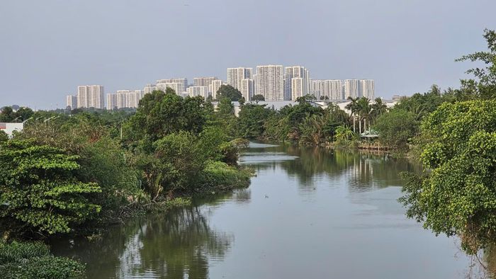 Rạch Trau Trảu đổ ra sông Tắc rồi xuôi về sông Đồng Nai.
