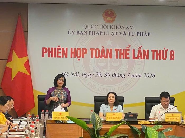 Đồng chí Đặng Hoàng Oanh, Thứ trưởng Bộ Tư pháp phát biểu tại phiên họp.