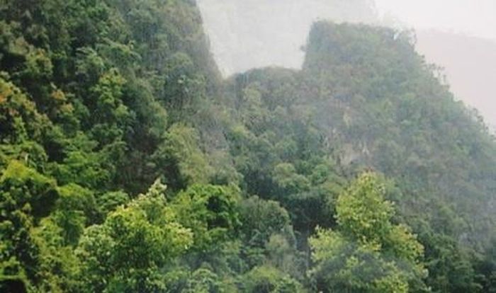 Khu di tích Lũng Dẻ, xã Minh Tâm nơi xuất bản Báo Việt Nam Độc lập từ cuối 6 đến đầu tháng 8/1942.