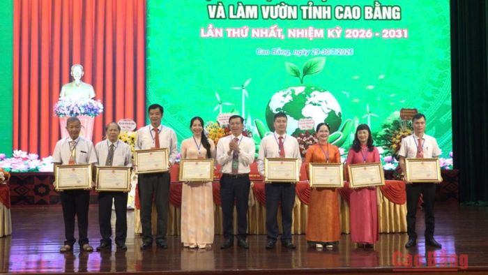 Các cá nhân, tập thể nhận Bằng khen của Chủ tịch UBND tỉnh tại đại hội.