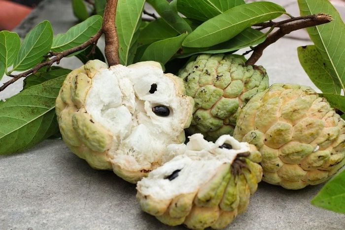 Na đang vào chính vụ, được nhiều người lựa chọn nhờ hương vị thơm ngọt và giá trị dinh dưỡng cao. Ảnh minh họa