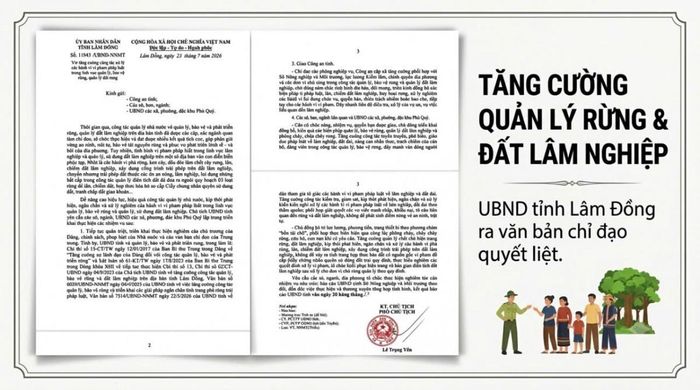 Văn bản chỉ đạo của UBND tỉnh Lâm Đồng về việc tăng cường công tác xử lý các hành vi vi phạm pháp luật trong lĩnh vực quản lý, bảo vệ rừng và quản lý đất lâm nghiệp