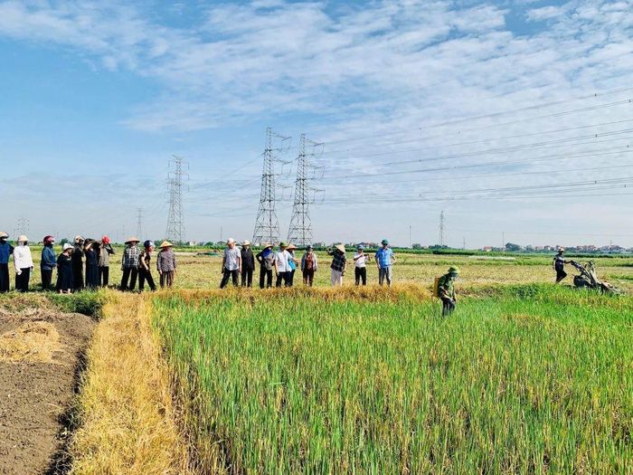 Hội Nông dân tỉnh Bắc Ninh đã tổ chức nhiều lớp tập huấn, hướng dẫn hội viên áp dụng quy trình mới vào sản xuất nông nghiệp. Ảnh Quang Bằng.