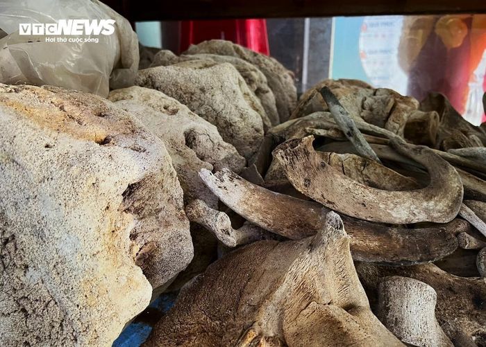 Không riêng gì làng chài Tân Phụng (xã Phù Mỹ Đông), hầu hết các làng chài trên vùng biển Gia Lai và Việt Nam đều có lăng Ông. Tại các lăng, phần xương cốt sau khi bốc mộ sẽ được lưu giữ trong các quách gỗ hoặc tủ kính đặt tại vị trí trang trọng nhất. 