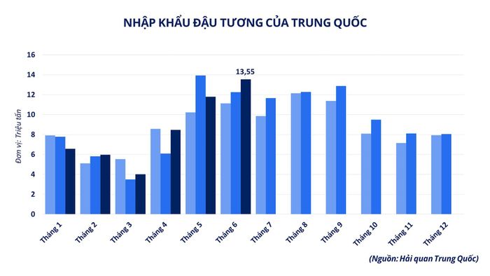 Nhu cầu nhập khẩu đậu tương của Trung Quốc. Nguồn: MXV