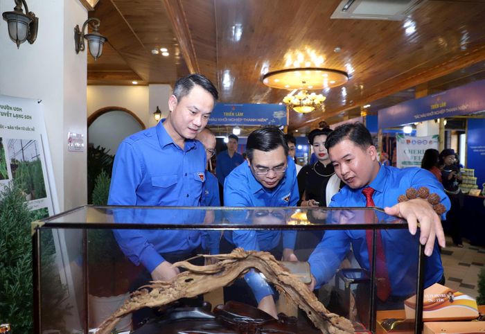 Cuộc thi "Dự án khởi nghiệp thanh niên nông thôn năm 2026" khu vực miền Bắc diễn ra với sự góp mặt của 35 dự án tiêu biểu. Ảnh: BTC