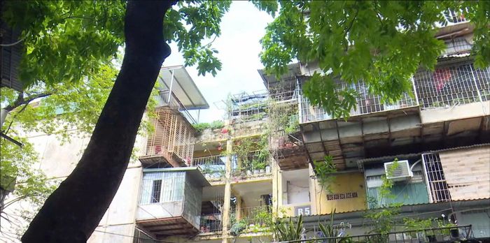 Nhiều căn hộ dựng "chuồng cọp" để mở rộng diện tích sử dụng. Ảnh: Bùi Trinh