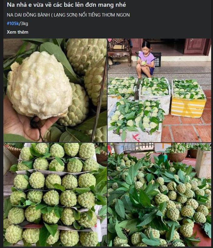 Na được rao bán trên thị trường với nhiều mức giá khác nhau, tùy thuộc vào chất lương và kích thước của quả.