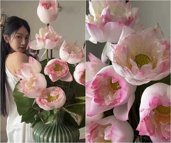 Điều khiến đoạn video thu hút sự chú ý không chỉ nằm ở thành phẩm mà còn ở cách Lê Bống xử lý phần thân sen. Thay vì dùng dao hoặc kéo cắt vát gốc như nhiều người chơi hoa truyền thống, cô dùng tay bẻ ngang thân sen trước khi cắm. Chi tiết này nhanh chóng trở thành chủ đề bàn luận trên mạng xã hội. Nhiều người yêu hoa cho rằng cách làm này khiến phần gốc bị tưa và có thể ảnh hưởng đến khả năng hút nước của cành sen.