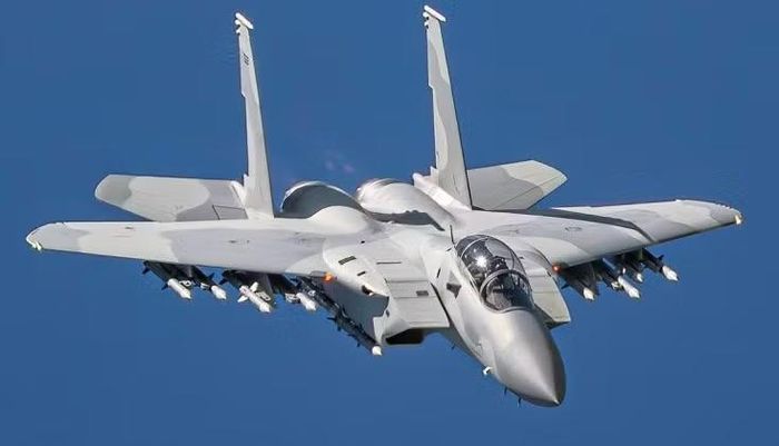 Sau khi không phản hồi cảnh báo vô tuyến và hạ thấp độ cao xuống khoảng 24 m để tránh radar, các máy bay Iran bị xác định là mục tiêu thù địch và bị một máy bay tiêm kích F-15 của Qatar bắn hạ.