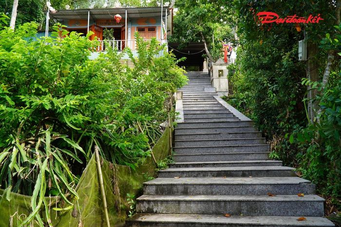 Được xây dựng từ thời Hậu Lê và trùng tu vào năm 1913, miếu mang kiến trúc truyền thống với hệ khung gỗ mít, mái ngói âm dương, đầu đao cong và nhiều chi tiết chạm khắc đặc trưng. Trong phong trào Xô Viết Nghệ Tĩnh giai đoạn 1930-1931, nơi đây còn là địa điểm cất giấu tài liệu và hoạt động bí mật của các cán bộ cách mạng.