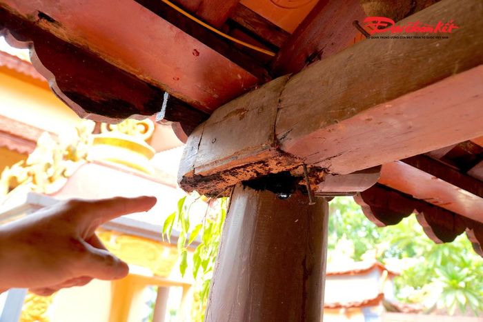 Tuy nhiên, theo ghi nhận, nhiều hạng mục của di tích hiện đã xuống cấp nghiêm trọng. Nhiều cột gỗ bị mối mọt ăn sâu, nghiêng lệch, các mộng gỗ được gia cố tạm thời. Khu đình chính có dấu hiệu hư hỏng, tiềm ẩn nguy cơ mất an toàn, trong khi khu điện thờ cũ gần như xuống cấp hoàn toàn.