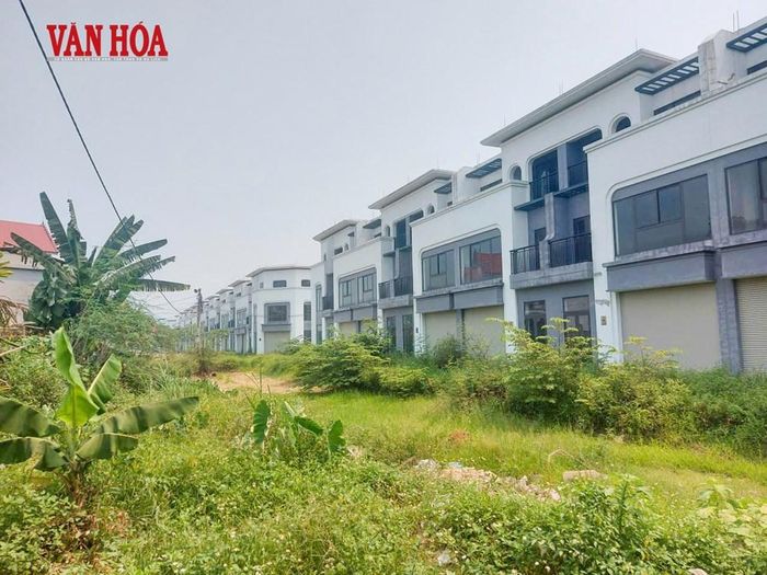Dự án Khu dân cư đô thị Bắc Phố Châu 1 bị "đắp chiếu" nhiều năm, cỏ mọc um tùm bên trong