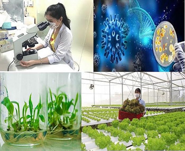 Phát triển công nghiệp sinh học ngành nông nghiệp và môi trường