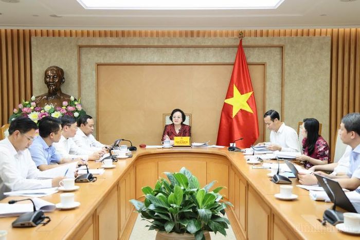Phó Thủ tướng Phạm Thị Thanh Trà cho ý kiến về tên gọi, quan điểm và mục tiêu, giải pháp của Đề án - Ảnh: VGP/Thu Giang