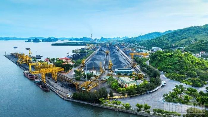 Sàng tuyển, chế biến than phục vụ tiêu thụ, phát triển nền kinh tế.