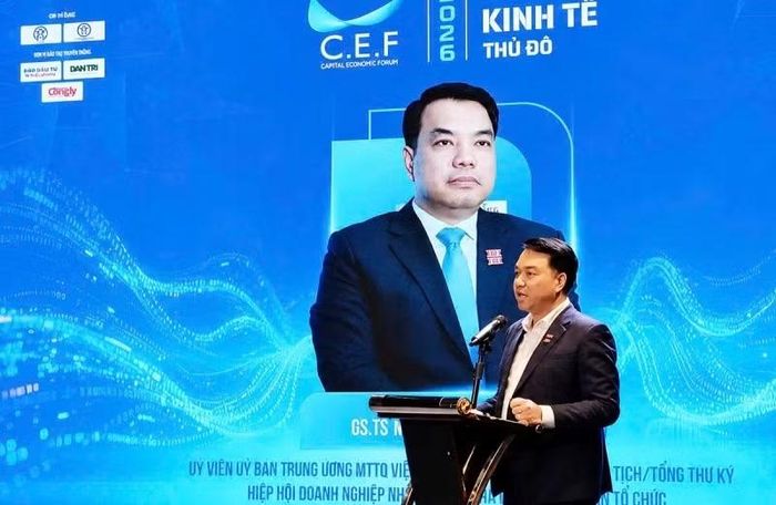 Phó Chủ tịch kiêm Tổng Thư ký Hiệp hội Doanh nghiệp nhỏ và vừa thành phố Hà Nội (HANOISME) Mạc Quốc Anh phát biểu tại diễn đàn.