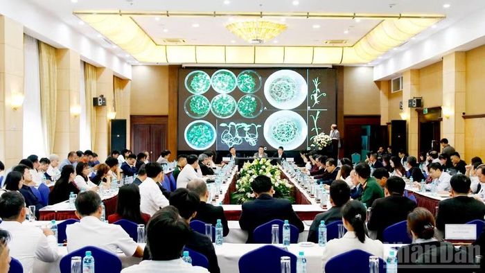 Giáo sư, Tiến sĩ Dương Tấn Nhựt, Phó Viện trưởng Khoa học sự sống trình bày tham luận "Nghiên cứu, phát triển giống thế hệ mới và hợp tác chuyển giao công nghệ cho doanh nghiệp" tại hội thảo.