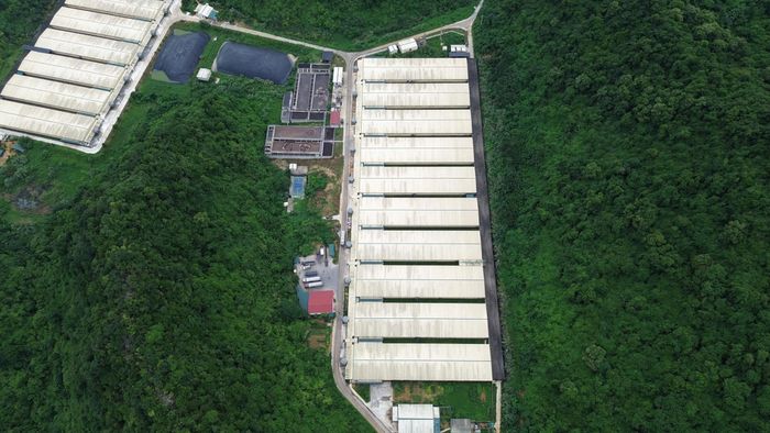  Một góc trang trại chăn nuôi của Công ty TNHH Dabaco Thanh Hóa 