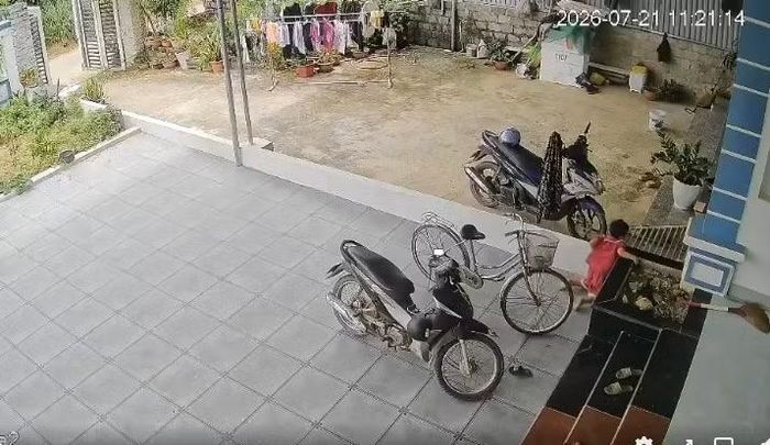 Cú ngã nhẹ khiến trẻ chấn thương lách độ III - Ảnh cắt từ video gia đình cung cấp