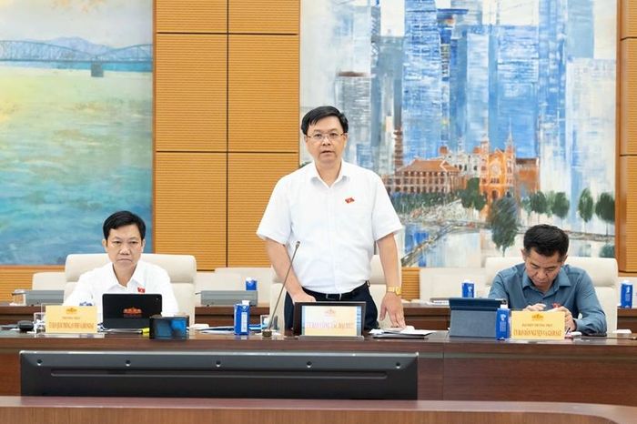 Đại biểu Nguyễn Hải Long phát biểu (Ảnh: CTTĐT Quốc hội).