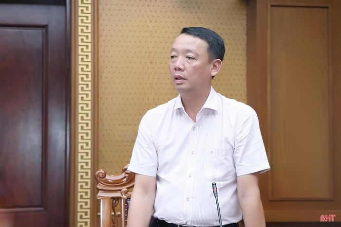 Chủ tịch UBND tỉnh Phan Thiên Định phát biểu tại buổi làm việc.