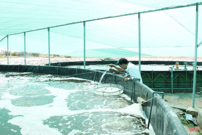 Để nâng cao năng suất và đảm bảo an toàn dịch bệnh, người nuôi tôm ở Hà Tĩnh đã mạnh dạn đầu tư cơ sở hạ tầng, mua sắm trang thiết bị hiện đại, nuôi theo mô hình thâm canh.