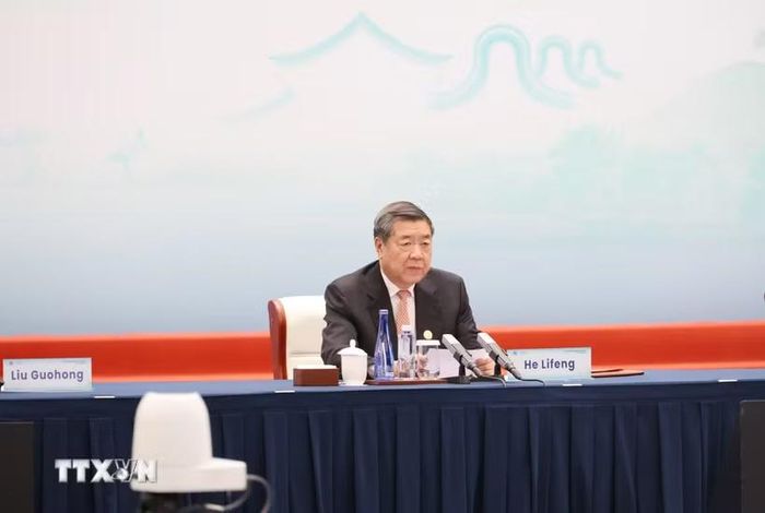 Phó Thủ tướng Quốc Vụ viện Trung Quốc Hà Lập Phong. (Ảnh: Công Tuyên/TTXVN)