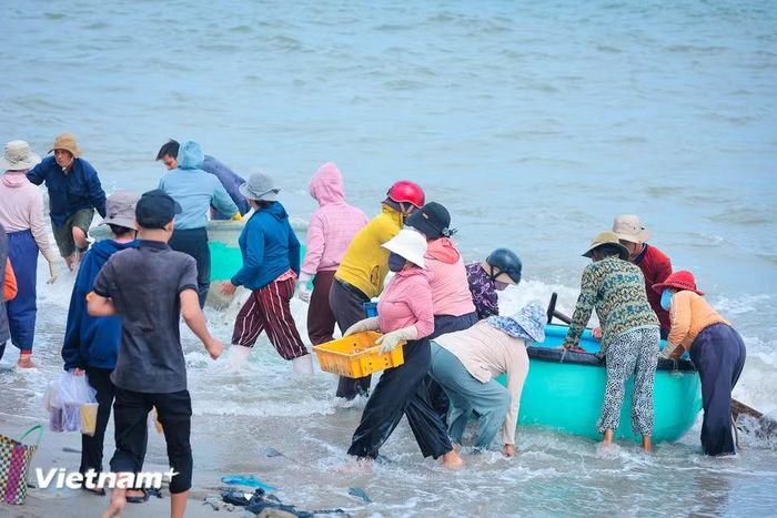 Từng chiếc thuyền thúng, thuyền gỗ cập bờ trong niềm hân hoan của người dân làng chài. (Ảnh: Hoài Nam/Vietnam+)