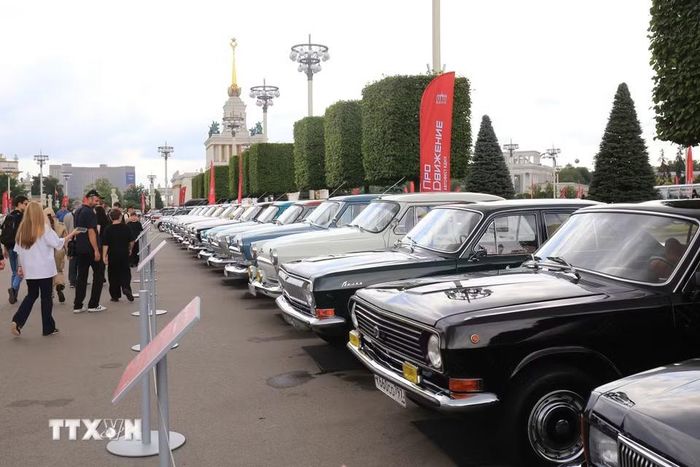Các dòng xe nổi tiếng một thời của hãng Volga được giới thiệu tại triển lãm. (Ảnh: Văn Hiếu/TTXVN)