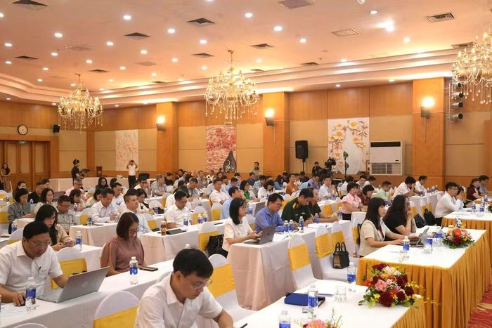 Quang cảnh hội thảo. (Ảnh: PV/Vietnam+)