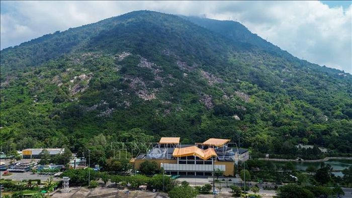 Với hệ sinh thái rừng đa dạng cùng điểm đến du lịch tâm linh, sinh thái tiêu biểu của Tây Ninh, núi Bà Đen giữ vai trò kết nối các tuyến du lịch liên vùng và thu hút hàng triệu lượt du khách mỗi năm.