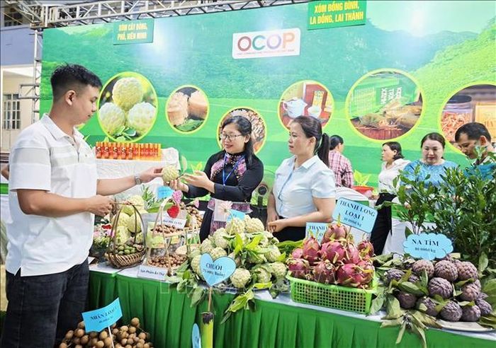Người dân tham quan các gian hàng trưng bày sản phẩm nông sản.