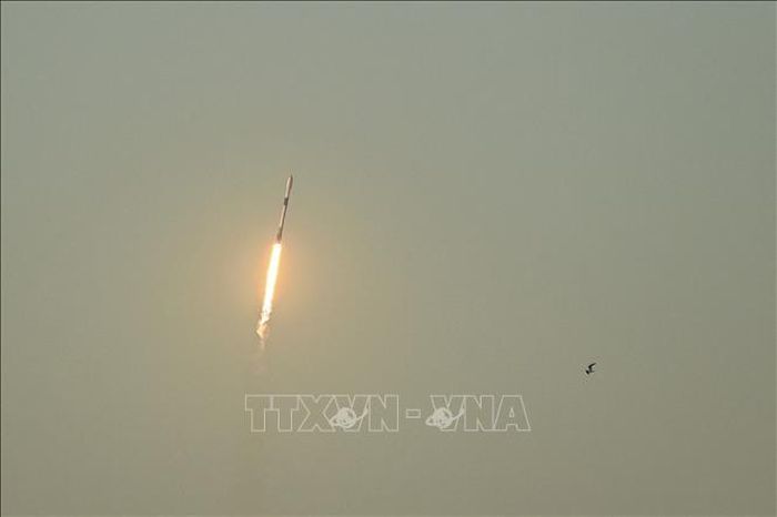 Tên lửa Falcon 9 mang theo các vệ tinh Starlink được phóng từ Trung tâm Vũ trụ Kennedy, bang Florida, Mỹ. Ảnh tư liệu: AFP/TTXVN