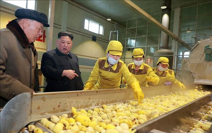 Nhà lãnh đạo Triều Tiên Kim Jong-un (thứ 2, trái) thăm một nhà máy ở Samjiyon. Ảnh: AFP/TTXVN (không được phép khai thác, sử dụng bởi bên thứ ba)