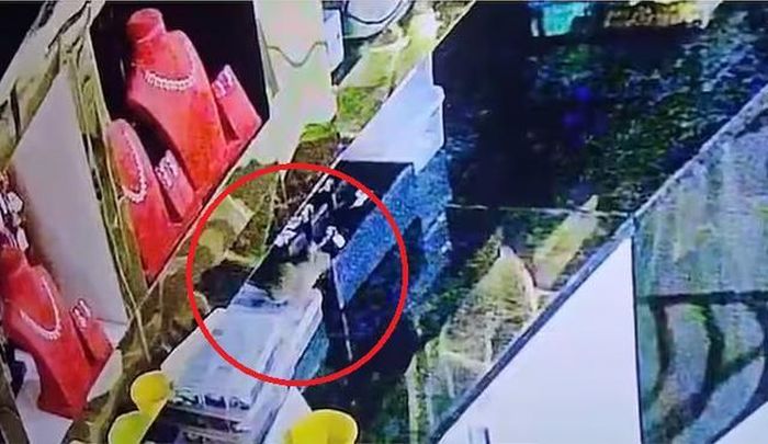 Con chuột bị camera giám sát ghi lại cảnh trộm trang sức trong cửa hàng. Ảnh: Free press journal