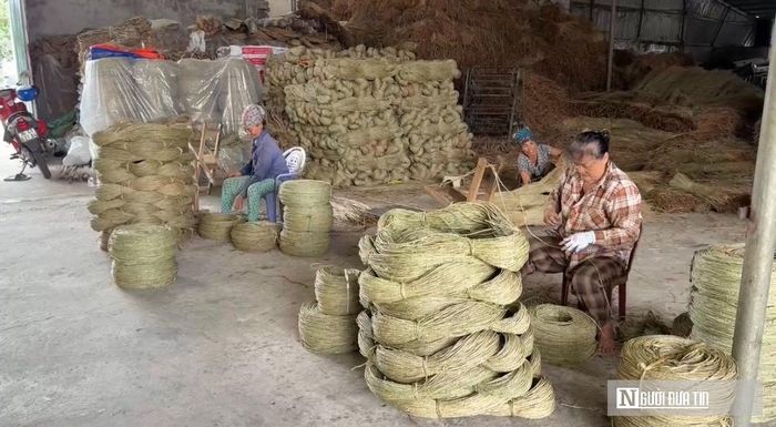 Trao đổi với Người Đưa Tin, đại diện UBND xã Tân Tiến cho biết, nghề cói đang đứng trước nhiều thách thức do địa phương chưa có doanh nghiệp lớn tham gia xuất khẩu, các cơ sở sản xuất chủ yếu hoạt động nhỏ lẻ nên giá trị sản phẩm chưa cao. Để giữ vùng nguyên liệu, chính quyền đang cải tạo hơn 10 ha diện tích cói bị bỏ hoang, đồng thời khuyến khích doanh nghiệp, hợp tác xã và các hộ sản xuất mở rộng quy mô, tìm kiếm đối tác tiêu thụ, phát triển các sản phẩm thủ công mỹ nghệ từ cói.