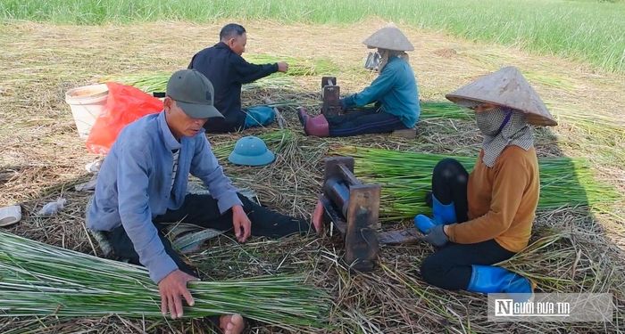 Tân Tiến được thành lập trên cơ sở sáp nhập 3 xã: Nga Thái, Nga Tiến và Nga Tân (huyện Nga Sơn cũ), hiện là địa phương có diện tích trồng cói lớn nhất Thanh Hóa với khoảng 730 ha. Người dân nơi đây vẫn quen gọi tháng 5 và tháng 10 âm lịch là "mùa vàng" bởi đây là hai vụ thu hoạch lớn nhất trong năm.