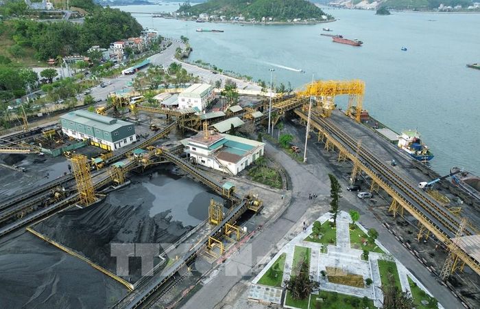 Than chất lượng cao chờ xuất kho tại bến cảng Cửa Ông - TKV. Ảnh: Quốc Khánh - TTXVN