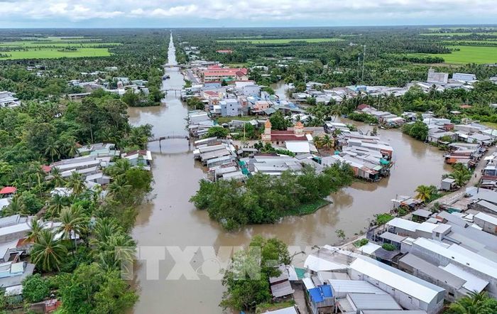 Rạch Mang Cá chảy qua trung tâm xã Đại Hải, thành phố Cần Thơ xuất hiện nhiều điểm sạt lở nghiêm trọng. Ảnh: Thanh Liêm - TTXVN