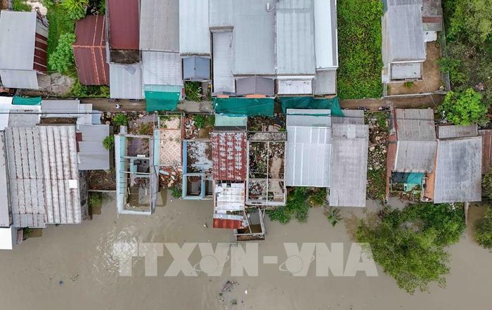 11 căn nhà ven rạch Mang Cá (xã Đại Hải, thành phố Cần Thơ) bị sạt lở nghiêm trọng. Ảnh: Thanh Liêm - TTXVN