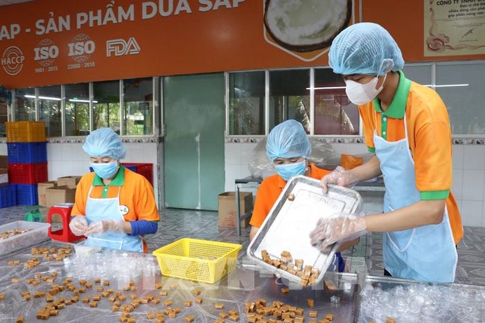 Công nhân Công ty TNHH Chế biến dừa sáp Cầu Kè (Vicosap), xã Tam Ngãi, sản xuất các sản phẩm từ dừa sáp đạt chuẩn OCOP. Ảnh: Thanh Hòa - TTXVN