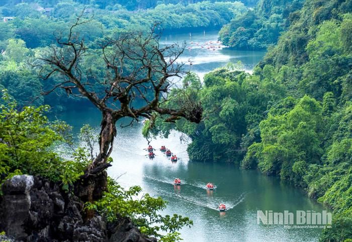 Cảnh đẹp Tràng An. Ảnh: báo Ninh Bình