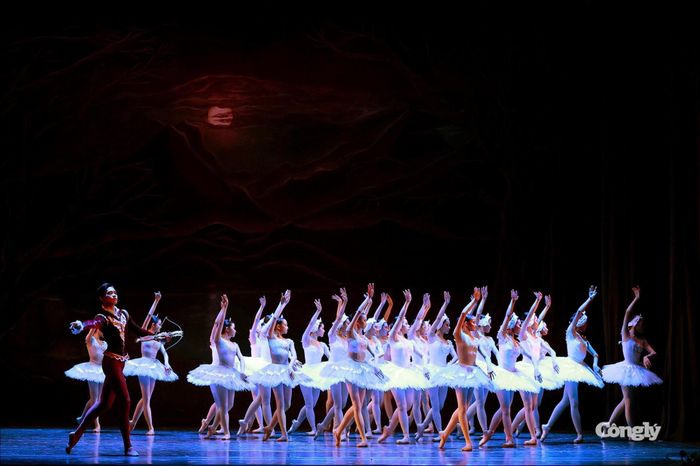 Cảnh các thiên nga xuất hiện trên sân khấu trong một phân đoạn của vở ballet "Hồ Thiên Nga".