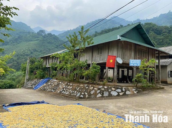 Nhịp sống bình dị trở lại tại bản Poọng, xã Tam Chung, nơi từng chịu nhiều tổn thất do ma túy.