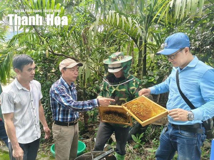 Dự án hỗ trợ mô hình nuôi ong cho Nhân dân trên địa bàn xã Thắng Lộc.