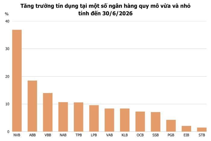  Tốc độ tăng trưởng tín dụng của Eximbank trong nửa đầu năm thuộc nhóm thấp nhất ngành. Ảnh: T.D tổng hợp từ BCTC