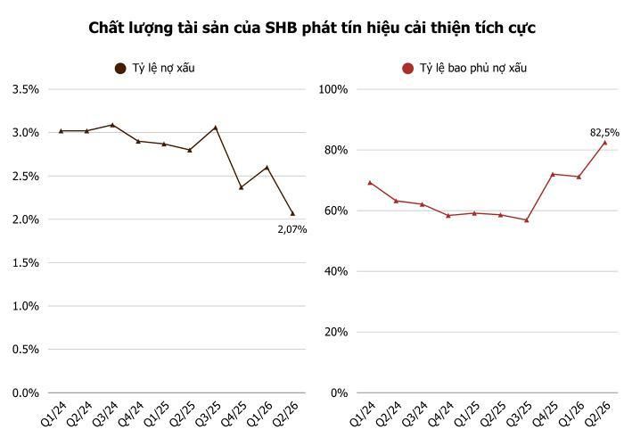  Ảnh: T.D tổng hợp từ BCTC 